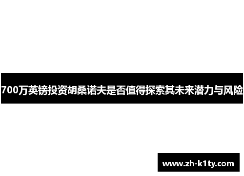 700万英镑投资胡桑诺夫是否值得探索其未来潜力与风险