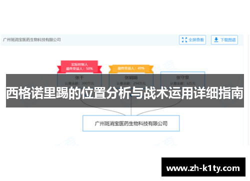 西格诺里踢的位置分析与战术运用详细指南